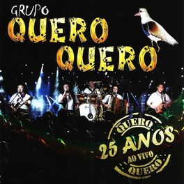 Album cover of 25 Anos (Ao Vivo)