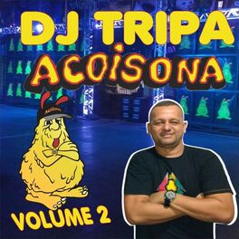 Album cover of Acoisona, Vol. 2