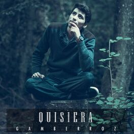 Album cover of Quisiera