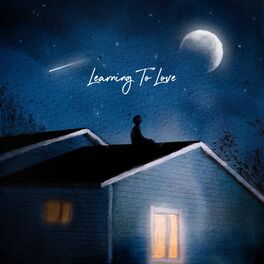 Album cover of Learning To Love