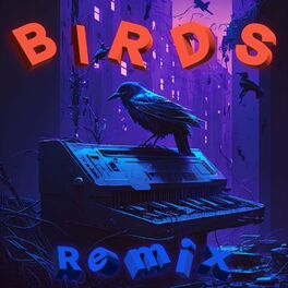Album cover of Birds (DJ Vadim Remix)