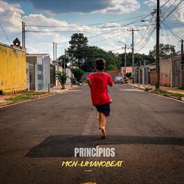 Album cover of Princípios