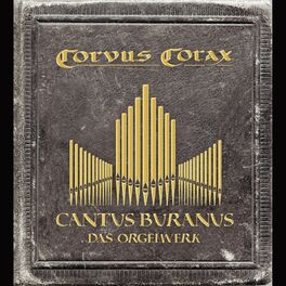 Album cover of Cantus Buranus - Das Orgelwerk