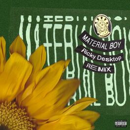 Album cover of Material Boy (Ricky Desktop Remix)