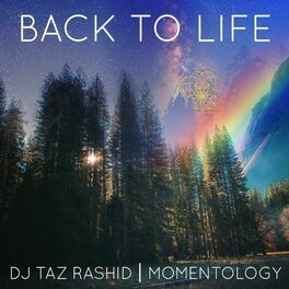 Album cover of Back to Life