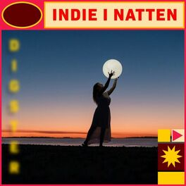 Album cover of Indie i natten