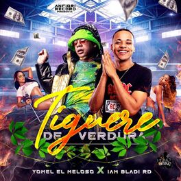 Album cover of Tiguere de Verdura (feat. Yomel El Meloso)