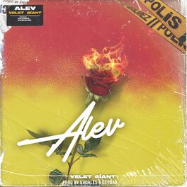 Album cover of Alev