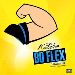 Album cover of Bo Flex (feat. Brandoshis)