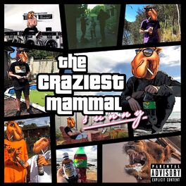 Album cover of The Craziest Mammal