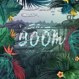 Album cover of Boom
