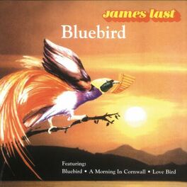 Album cover of Bluebird