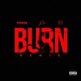 Album cover of Burn (Remix)