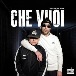 Album cover of Che vuoi