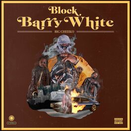 Album cover of Block Barry White