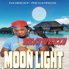 Album cover of Moon Light