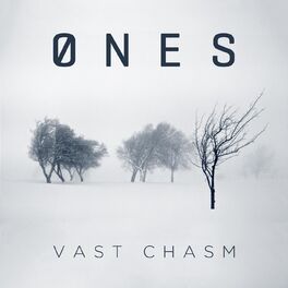Album cover of Vast Chasm