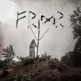 Album cover of Fridr