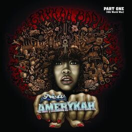 Album cover of New Amerykah Part One (4th World War)