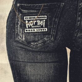 Album cover of Bass Level