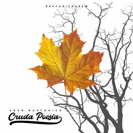 Album cover of Cruda Poesía