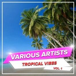 Album cover of Tropical Vibes, Vol. 1