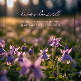 Album cover of Évasion Sensorielle - Musique Instrumentale pour se Détendre et se Ressourcer