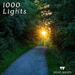 Album cover of 1000 Lights