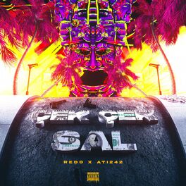 Album cover of ÇEK ÇEK SAL