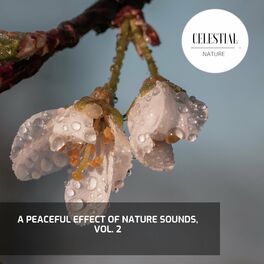 Album cover of A Peaceful Effect of Nature Sounds, Vol. 2