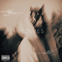 Album cover of Wolves