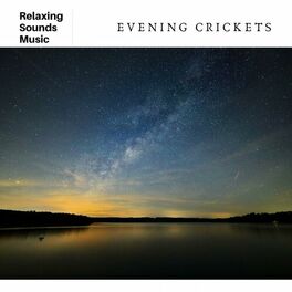 Album picture of Evening Crickets: Relaxing Spa Sounds