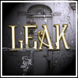Album cover of Leak
