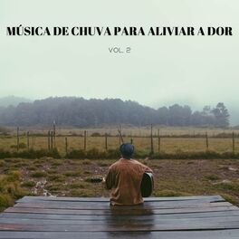 Album cover of Música De Chuva Para Aliviar A Dor Vol. 2