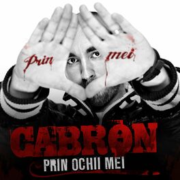 Album cover of Prin Ochii Mei