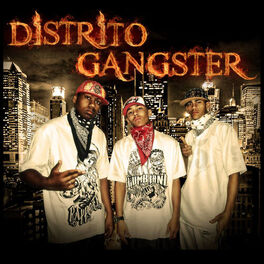 Album cover of Distrito Gangster na Net