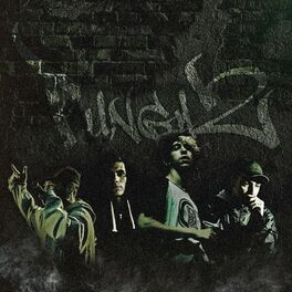 Album cover of Pungaz