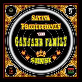Album cover of Sensi