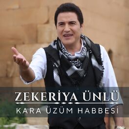 Album cover of Kara Üzüm Habbesi