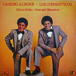 Album cover of Camino alegre