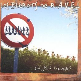 Album cover of Les joies sauvages