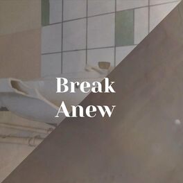 Album cover of Break Anew