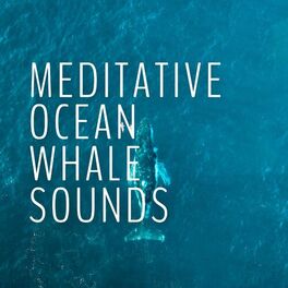 Album cover of Meditative Ocean Whale Sounds