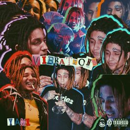 Album cover of Vibrations