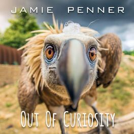 Album cover of Out of Curiosity