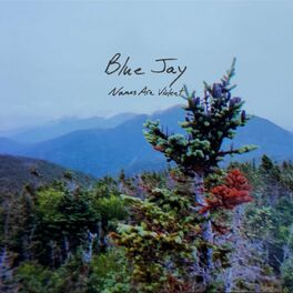 Album cover of Blue Jay