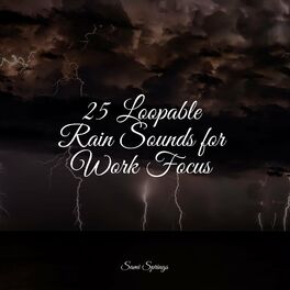 Album cover of 25 Loopable Rain Sounds for Work Focus
