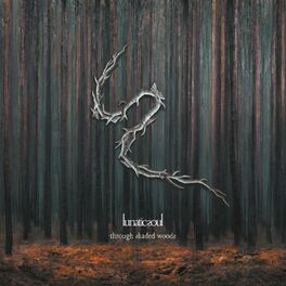 Album cover of Through Shaded Woods (Deluxe Edition)