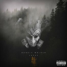 Album cover of Dunkle Wälder
