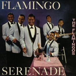 Album cover of Flamingo Serenade